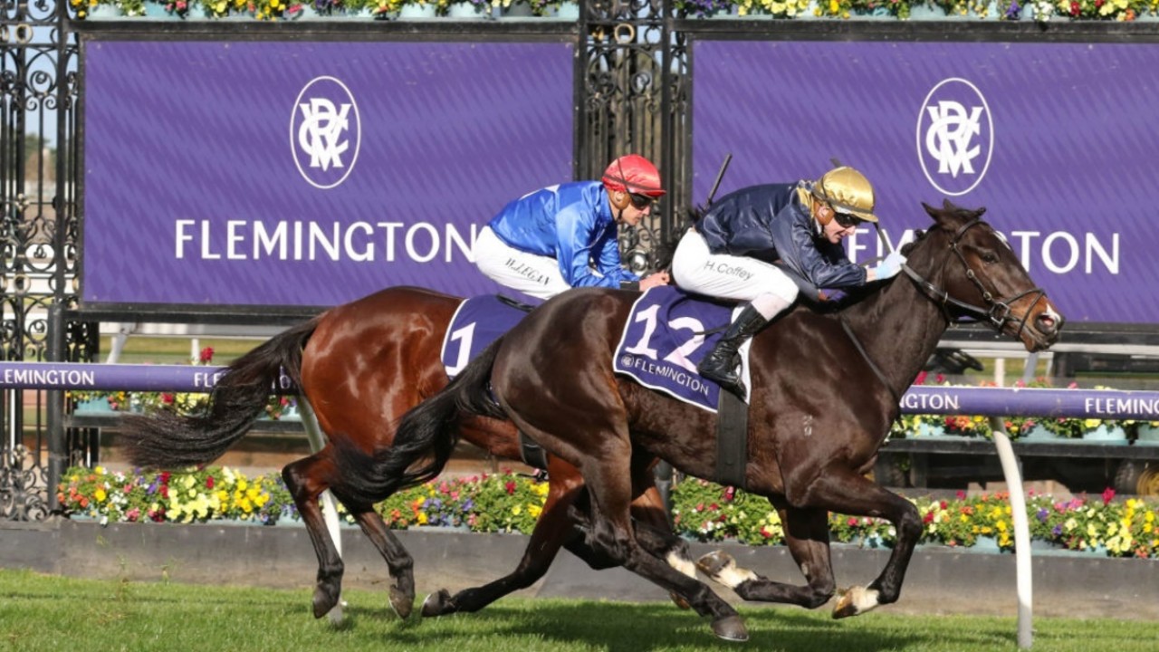 Blacker bets on a Melbourne Cup victor to lead Skyphios to ... Image 1